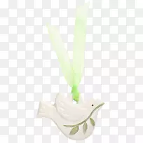 �;�.���-������