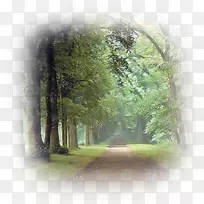 Youtube旅游信息加密博客-空若网 Youtube旅游信息加密博客-空若网