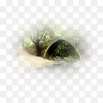 水树梦景-水-空若网 水树梦景-水-空若网