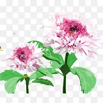 花卉设计菊花切花.菊花-空若网 花卉设计菊花切花.菊花-空若网