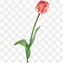 �����㻨������-������-������