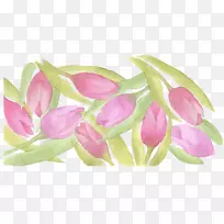 郁金香水彩画.郁金香阴影-空若网 郁金香水彩画.郁金香阴影-空若网