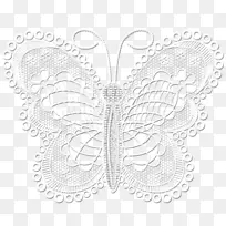 蝴蝶网昆虫网站-空若网 蝴蝶网昆虫网站-空若网