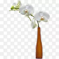 花瓶切花蛾兰花瓶-空若网 花瓶切花蛾兰花瓶-空若网