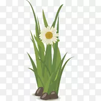 �ƻ����.�̲�-������