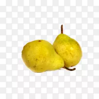 ѩ��-������