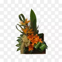 ��������л��ٺϻ�-������