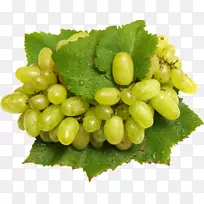 ˮ���߲���ͨ������ʳƷ�߲�-������