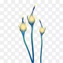 开花植物茎-空若网 开花植物茎-空若网