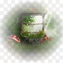 �����ֽ��Ӱ-������