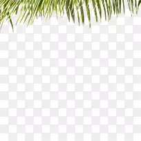 草绿草-空若网 草绿草-空若网