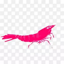 十足类昆虫粉红色m特写字体昆虫-空若网 十足类昆虫粉红色m特写字体昆虫-空若网