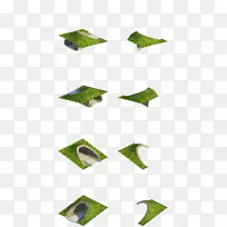 三角形叶角-空若网 三角形叶角-空若网