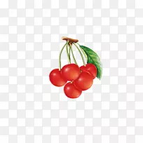 ӣ����Խݮ-ӣ��-������