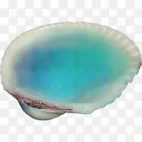 贻贝玻璃城堡-空若网 贻贝玻璃城堡-空若网