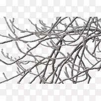 艾莎树枝冰冻枝-空若网 艾莎树枝冰冻枝-空若网