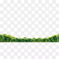 蔬菜花椰菜-蔬菜西兰花-空若网 蔬菜花椰菜-蔬菜西兰花-空若网