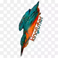 海洋毛喙-空若网 海洋毛喙-空若网