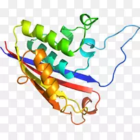 直线点蔬菜有机体剪贴画线-空若网 直线点蔬菜有机体剪贴画线-空若网