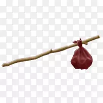 宾德尔流浪汉头巾定义信息-信息-空若网 宾德尔流浪汉头巾定义信息-信息-空若网