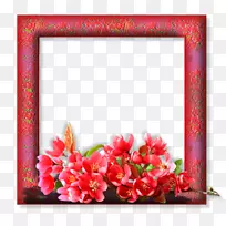 Ů�Բ�������-Ů��-������