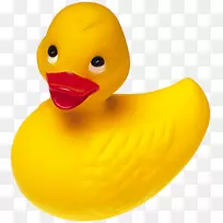 橡胶鸭夹艺术-鸭子-空若网 橡胶鸭夹艺术-鸭子-空若网