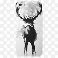 �滭�ڰ�����ˮ�ʻ�-������