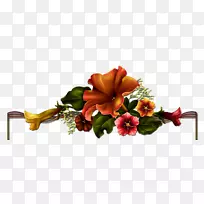 花设计生日花。由.tf-生日-空若网 花设计生日花。由.tf-生日-空若网