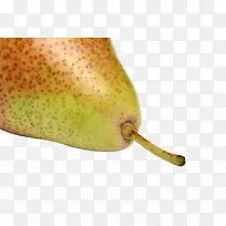 欧洲梨亚洲梨-空若网 欧洲梨亚洲梨-空若网