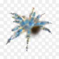 �����������-������