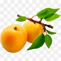 杏花蜜果汁-空若网 杏花蜜果汁-空若网