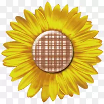 地毯清洁铃android数码剪贴簿发-空若网 地毯清洁铃android数码剪贴簿发-空若网