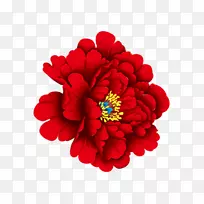 牡丹下载红红牡丹花-空若网 牡丹下载红红牡丹花-空若网