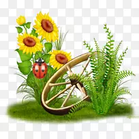 花卉设计普通向日葵剪贴画-空若网 花卉设计普通向日葵剪贴画-空若网