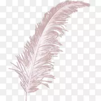 ��ë����-��ë-������