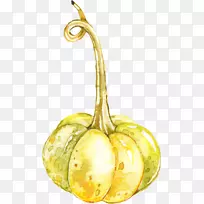 奥格里斯水果南瓜卡通-南瓜-空若网 奥格里斯水果南瓜卡通-南瓜-空若网