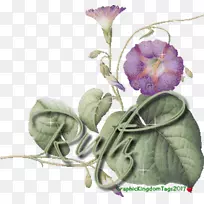 Elen be sha o-人-空若网 Elen be sha o-人-空若网