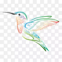 蜂鸟剪贴画-动画-空若网 蜂鸟剪贴画-动画-空若网