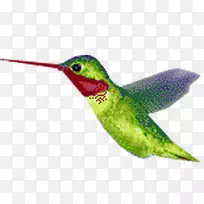 ���񶯻�-������