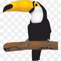 动画-空若网 动画-空若网