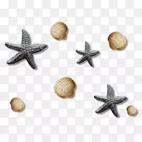 水彩画剪贴画-海星-空若网 水彩画剪贴画-海星-空若网
