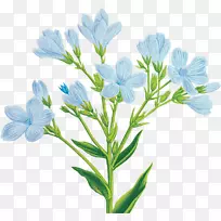 ���л�������-������