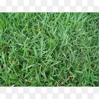 ˮ�β�-������