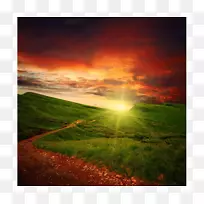 ��ʧ�ĸо�����������Ӱ-������