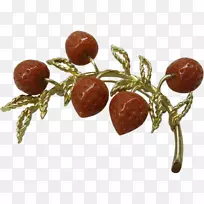 超级食物水果-空若网 超级食物水果-空若网