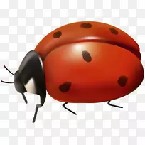 ×ÀÃæ±ÚÖ½¼ôÌù».¶¯»-¿ÕÈôÍø ×ÀÃæ±ÚÖ½¼ôÌù».¶¯»-¿ÕÈôÍø