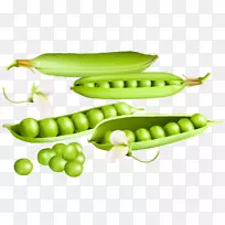 �㶹-������