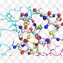 线点材料剪辑艺术-蛋白质-空若网 线点材料剪辑艺术-蛋白质-空若网