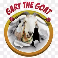 ɽ�����-������