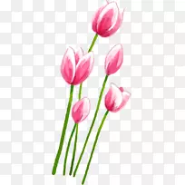 ������ۺ�ɫ����-�ۺ�ɫ������-������